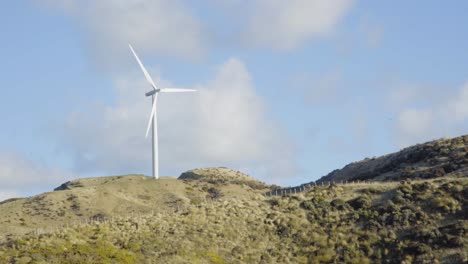 a single wind turbine rotating on a hill