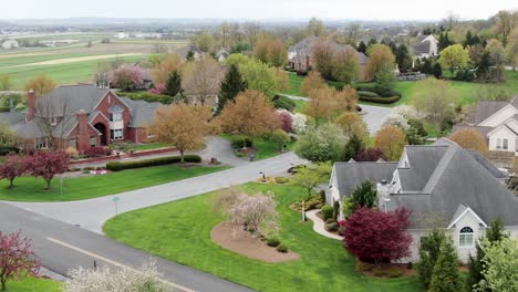 upscale community, wealthy homeowner gated community, aerial of blooming trees in spring