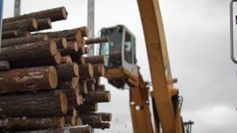 Heavy crane lifting wood logs in industrial port area, view from bellow