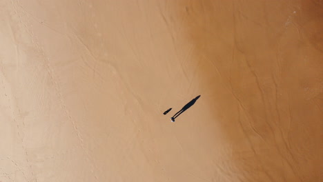 Aerial-top-down-shot-of-person-on-sandy-beach-during-sunny-day-with-reaching-wave-of-ocean---rising-top-view