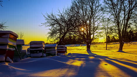 Tiro-De-Lapso-De-Tiempo-De-Amanecer-Dorado-Sobre-Jardín-Rural-Nevado-Con-Colmenar-De-Abejas-Cubierto-De-Nieve---Sol-Naciente-Detrás-De-árboles-Sin-Hojas-En-La-Naturaleza