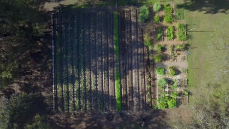 AERIAL:-Complete-rise-from-ground-to-sky-revealing-an-entire-working-farm-in-the-middle-of-Austin,-Texas