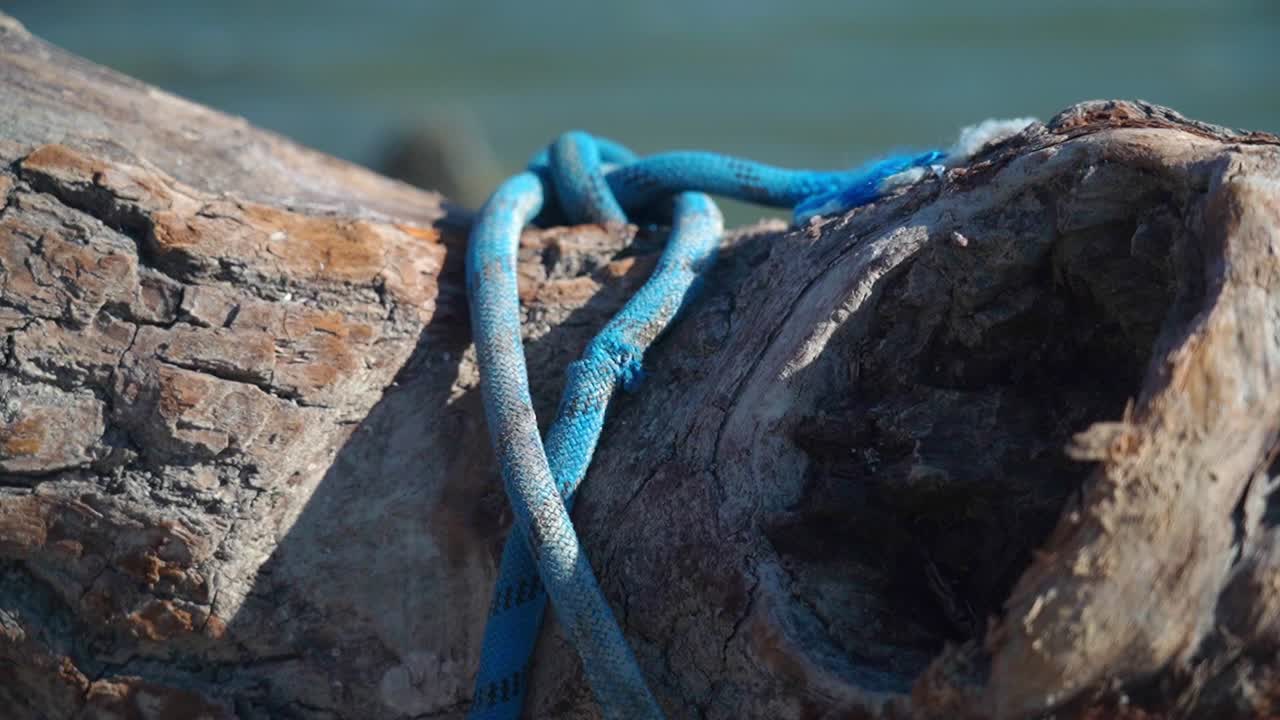 Close-up of a blue rope tied around driftwood by the water