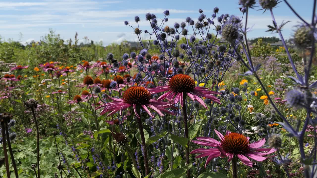 colorido campo de flores prado con abejorros volando