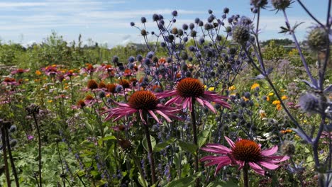 colorful flower field meadow with bumblebees flying