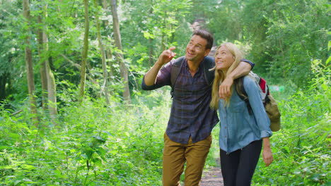 loving couple in countryside hiking along path through forest together