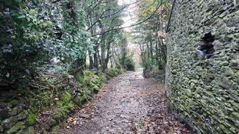 Old-farm-entrance-lane-with-stone-walls-and-old-dwelling-traditional-Irish-farm-Comeragh-Mountains-Waterford-on-a-wet-winter-day