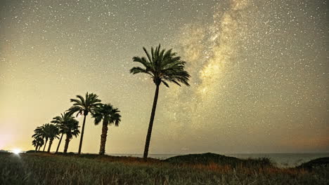 galaxia de la vía láctea, hiperlapso de larga exposición, palmeras, rastros de estrellas, cielo nocturno, océano