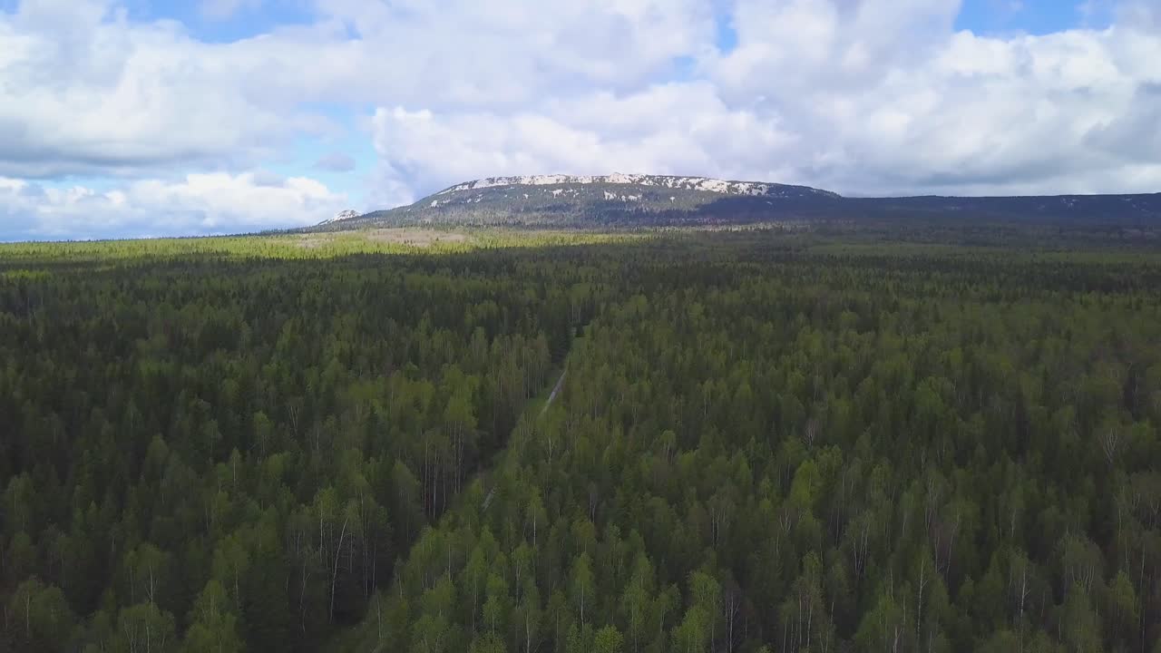Aerial View of Mountain and Forest
