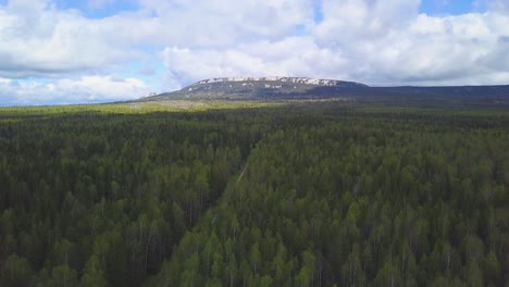 vista aérea de la montaña y el bosque