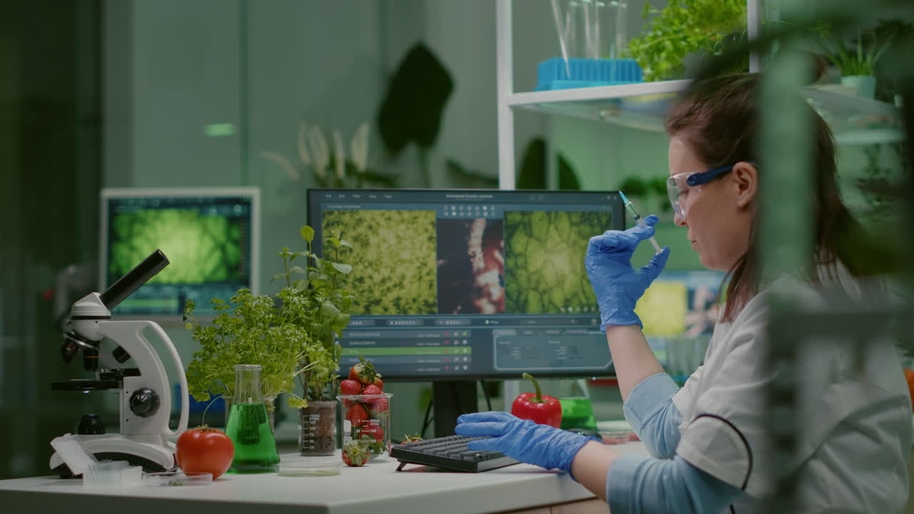 Chemist scientist injecting strawberry with pesticides examining gmo fruits