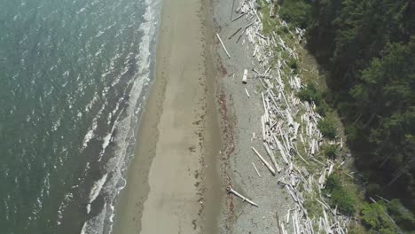 Nach-Oben-Schwenken,-Küstenstrand,-Miller-Creek,-Haida-Gwaii-Herauszoomen