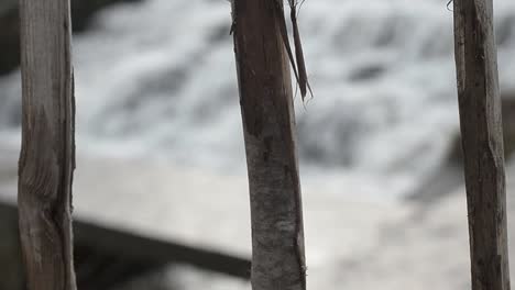 View-of-gushing-water-through-fence-posts