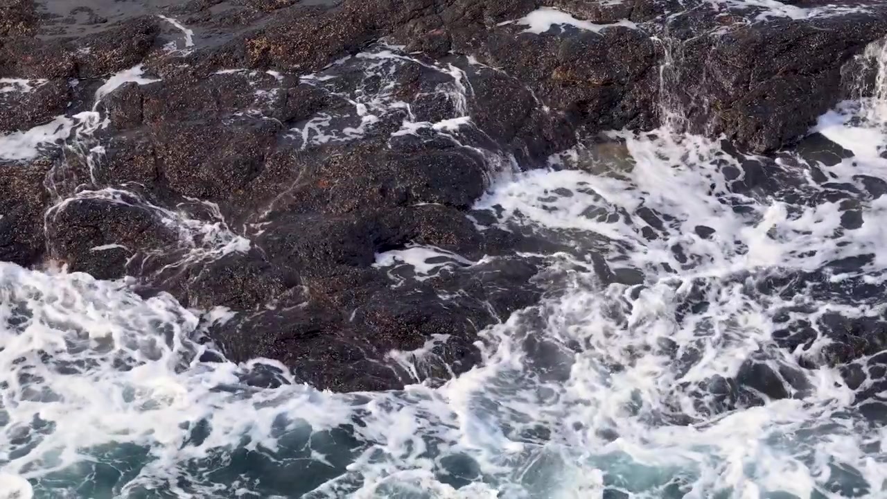 Vista dall'alto di schiuma marina bianca che si infrange su scure rocce vulcaniche a Flinders, Australia