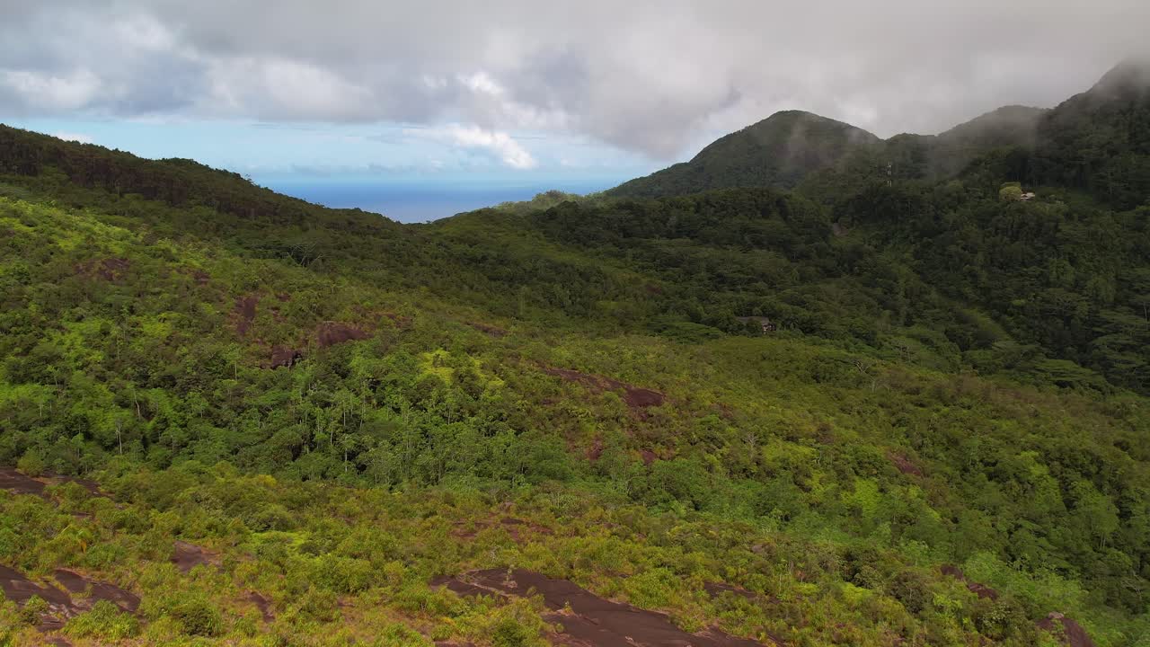 Drone shot from copolia trail the lush forest, Mahe Seychelles