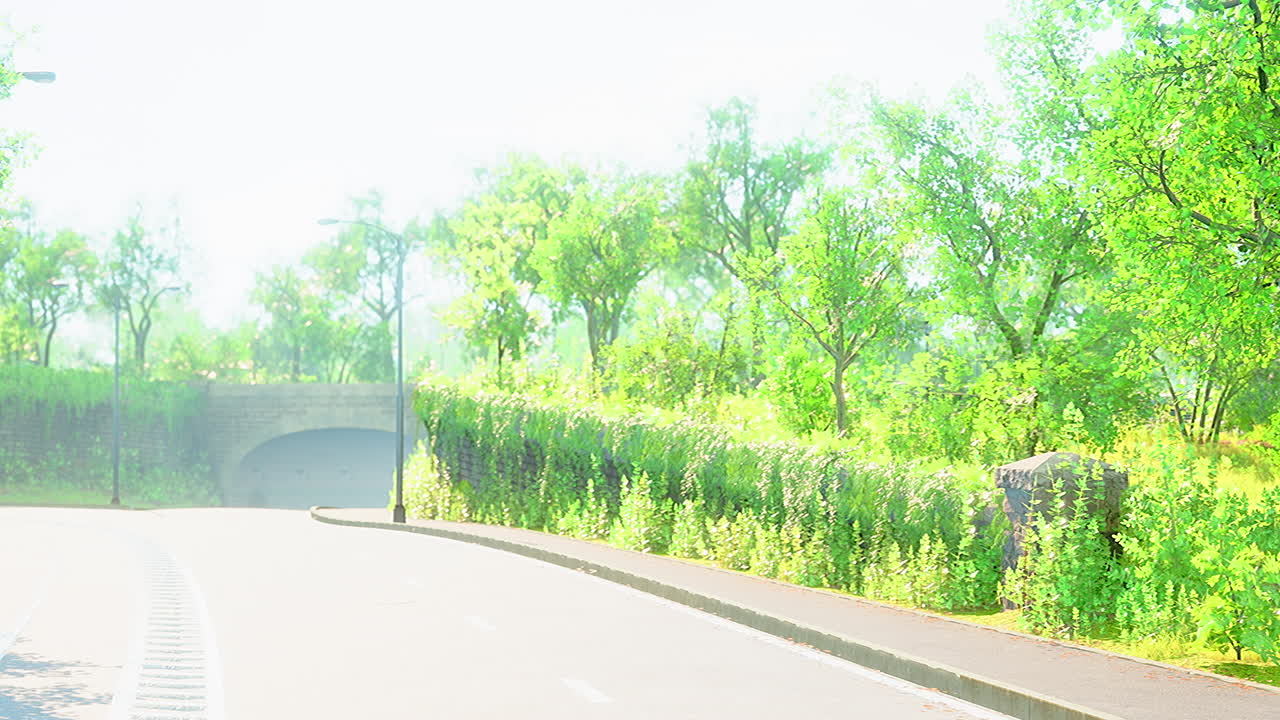 숲 한가운데 를 가로지르는 도로 의 사진