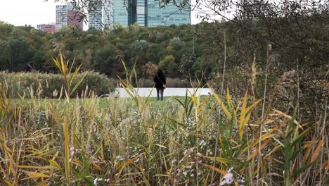 Chica-Caminando-Por-El-Parque-De-Otoño-En-La-Distancia-Con-Edificios-De-Gran-Altura-En-Segundo-Plano.