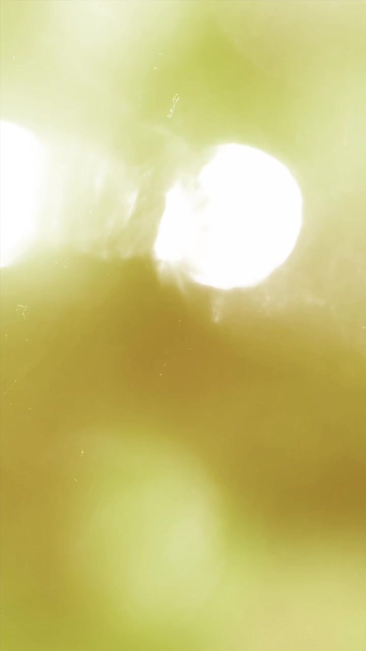 Abstract Light Leaks and Lens Flares Overlay