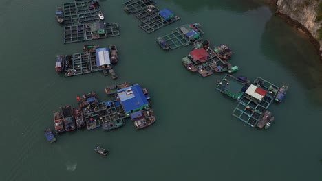 aerial view floating over fishing farm village in cat ba and halong bay in northern vietnam