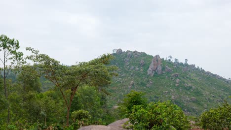 mountain, foreground trees , rocks