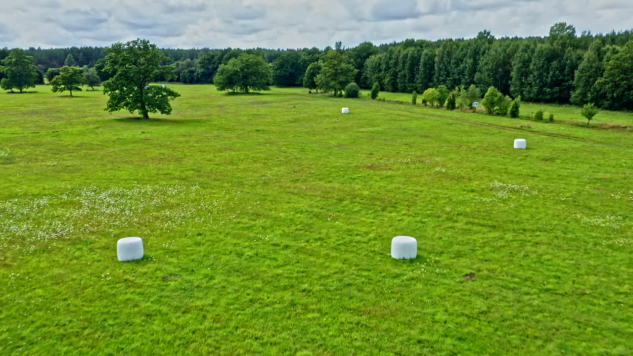Drone Overflying Green Agricultural Field Farming Bales of Straw With Forest in the Background - Dolly Shot