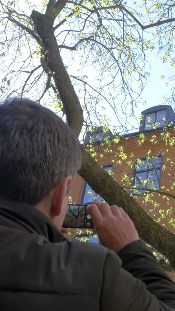 Man taking a photo of a tree in the city