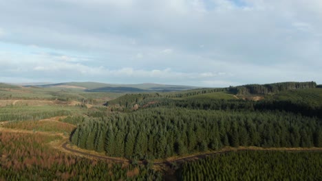 Drone-parallax-around-huge-open-forest-landscape-in-english-countryside-on-a-bright-but-overcast-day