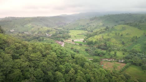 Hermoso-Paisaje-Agrícola-Con-Campos-De-Plantación-De-Maíz-En-Crecimiento-En-La-Isla-De-Sumbawa,-Indonesia