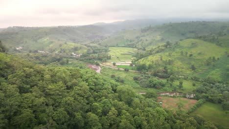 hermoso paisaje agrícola con campos de plantación de maíz en crecimiento en la isla de sumbawa, indonesia