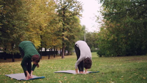 women practicing yoga in a park