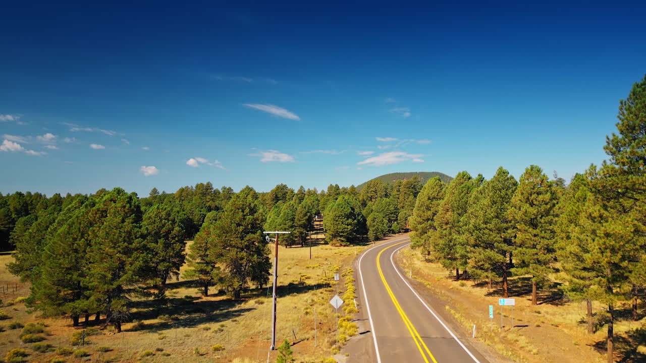 Flight over the highway crossing the forest. A car appears on the road. A verdant mountain at backdrop