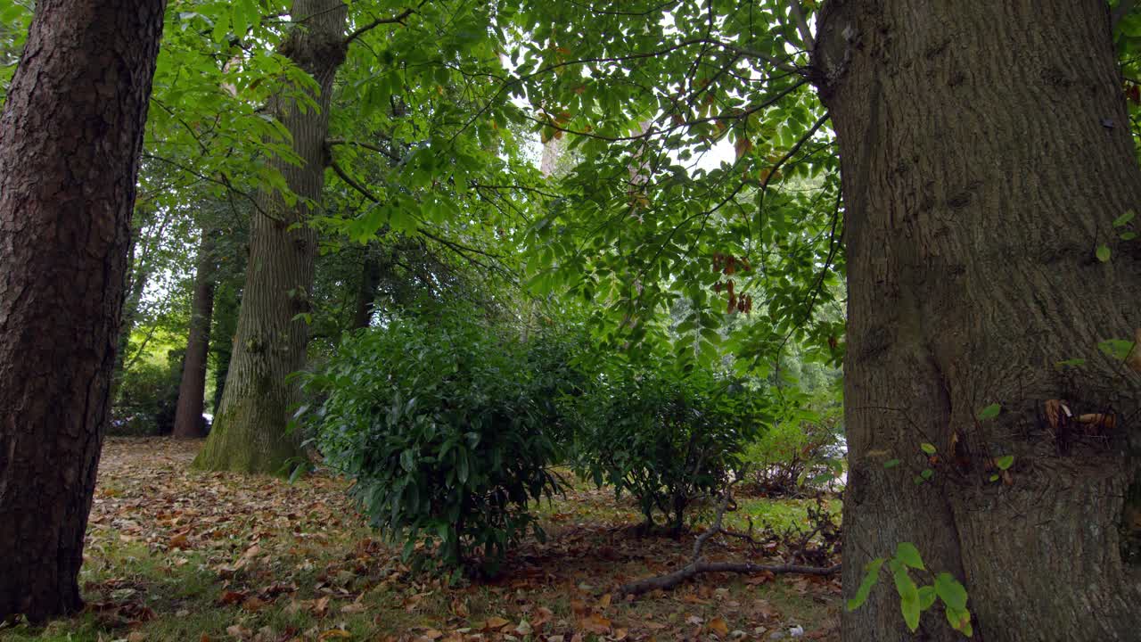 평화로운 자연 풍경