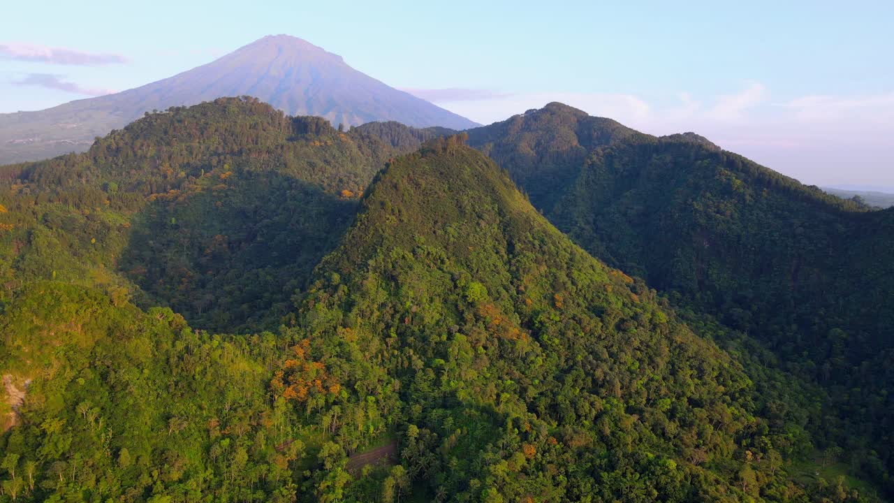 Pemandangan udara hutan hujan tropis dengan kontur berbukit dari drone yang terbang tinggi