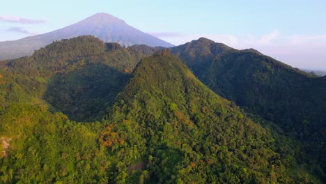 aerial view of tropical rainforest with hilly contours from high-flying drone