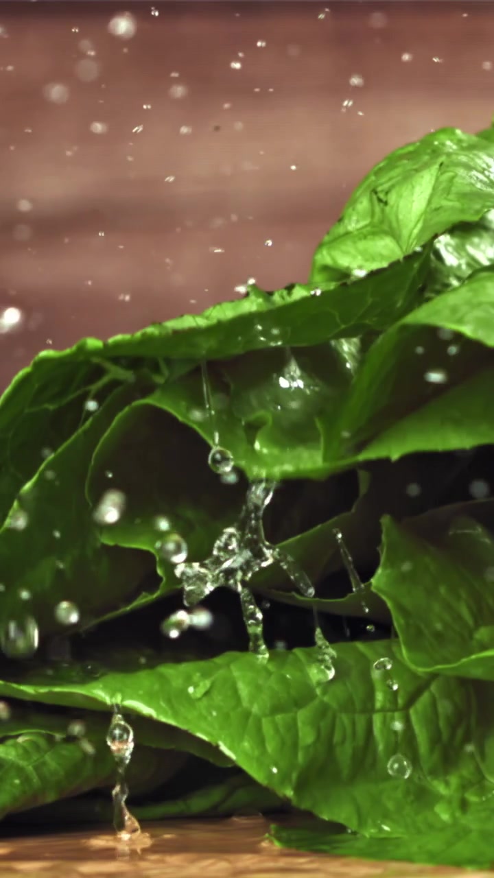 Foglie di lattuga verde fresca con acqua che schizza al rallentatore.