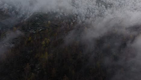 Relaxing-drone-video-in-Swiss-Alps-on-cloudy-moody-grey-winter-afternoon-with-lush-pine-forests-and-beautiful-snowy-trees-on-mountains-sideways-flying-and-rotating