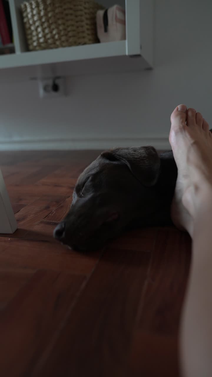 Dog lying on floor with foot