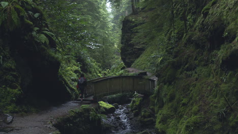 Woman-Looks-Down-At-Gorge-From-Bridge-At-Pucks-Glen-Scotland-4K