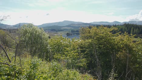 Dichtes-Dickicht-In-Der-Schottischen-Hochlandlandschaft-Mit-See-An-Sonnigen-Tagen