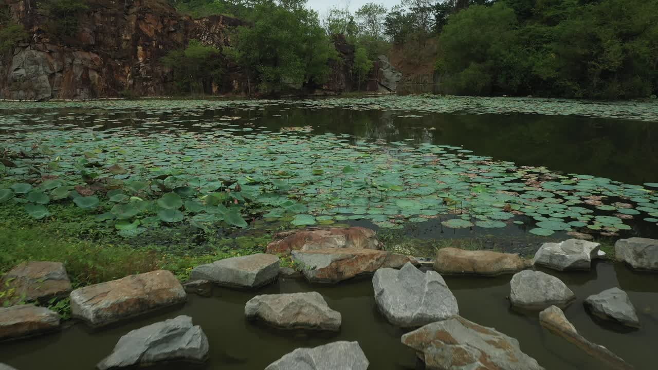 drone de muy bajo nivel volando sobre rocas, nenúfares, lago con reflejos de árboles