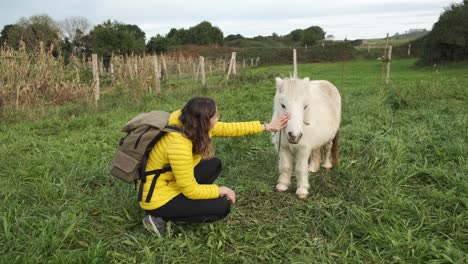 Gesichtslose-Frau-Streichelt-Süßes-Pony-Auf-Ackerland