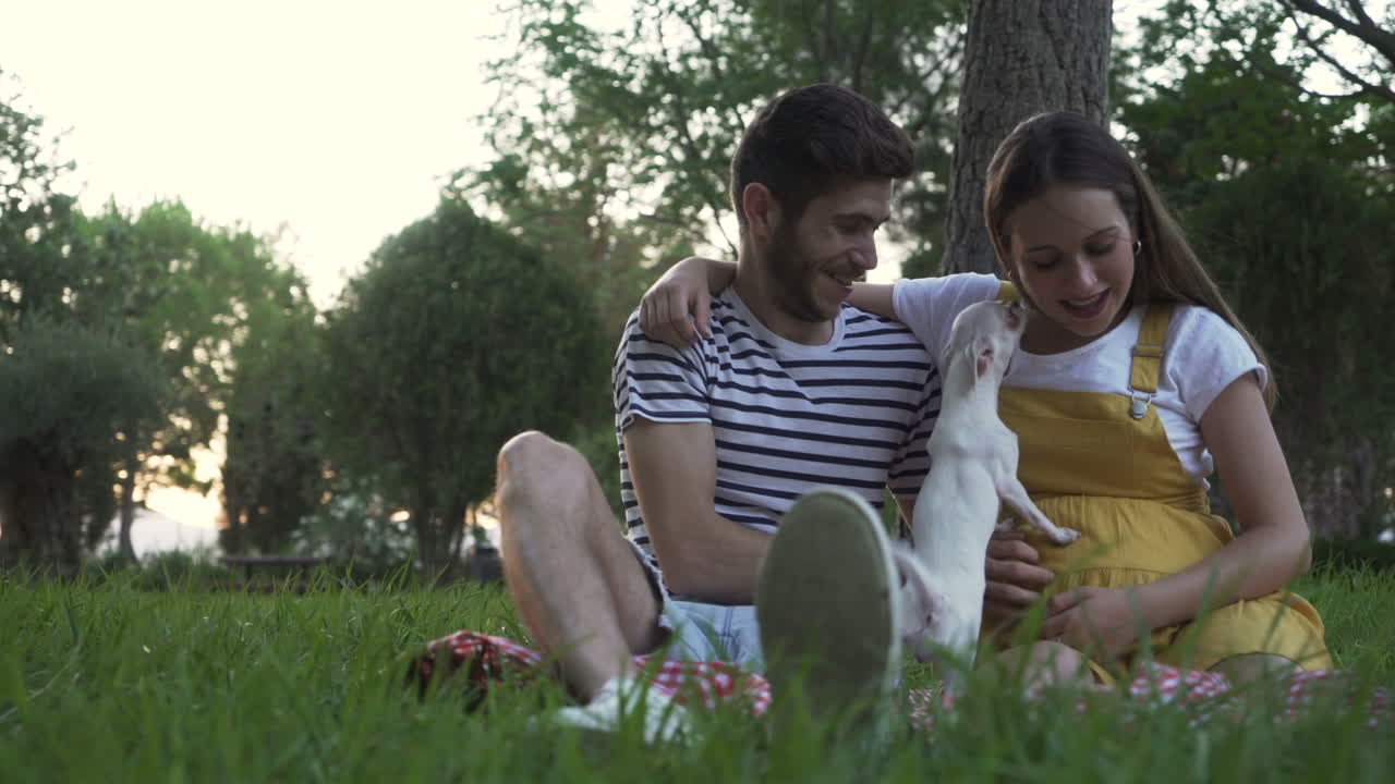 Couple having a picnic with their dog