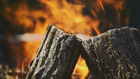 afternoon standing and closer footage from a part of the big wood pile which is burning and smokes