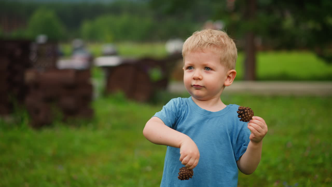 Niño pequeño muestra piñas secas de pie en el parque infantil.