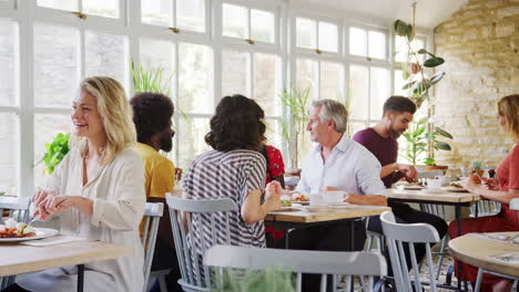 diners talking and eating at tables in a busy restaurant during the day, handheld