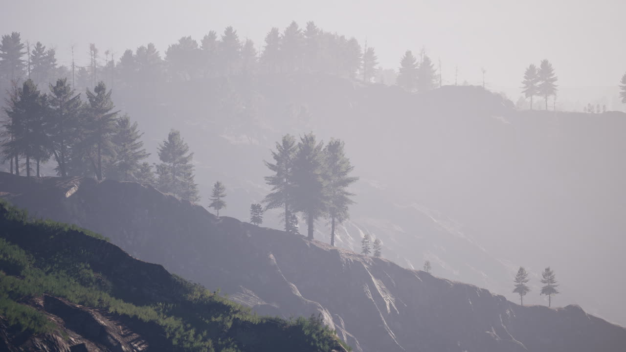 안개 배경 에 있는 웅장 한 초록색 산 숲