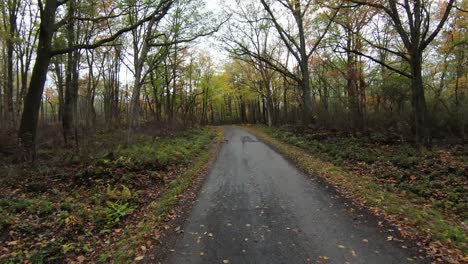 Fpv-A-Través-Del-Camino-Forestal-De-Otoño