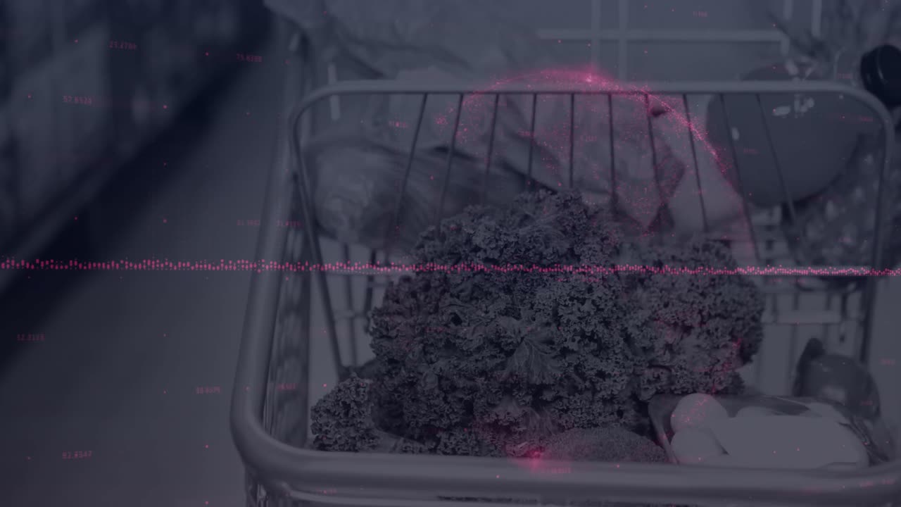 식료품 가게의 쇼핑 카트에 대한 금융 데이터 처리 및 세계 지도