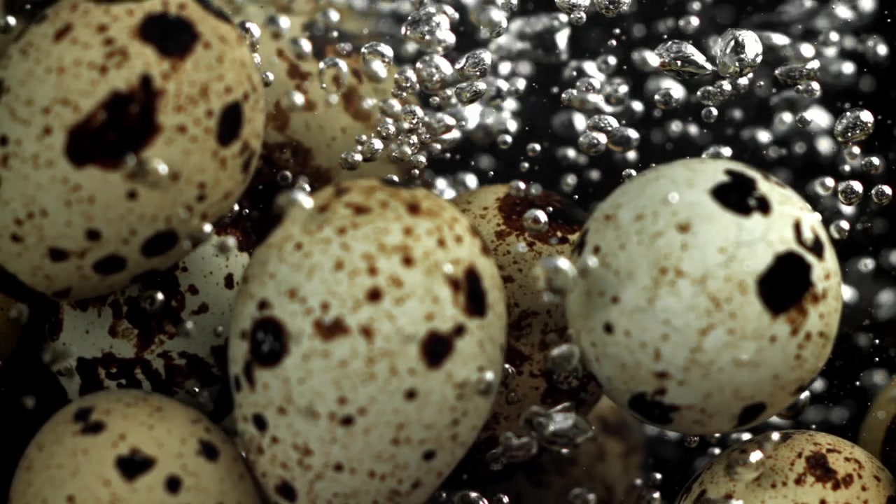 Slow Motion Close-up of Quail Eggs Boiling in Water