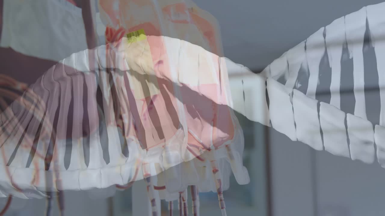 병원에서 가득 찬 분비 봉투를 가로질러 움직이는 dna 가닥의 애니메이션